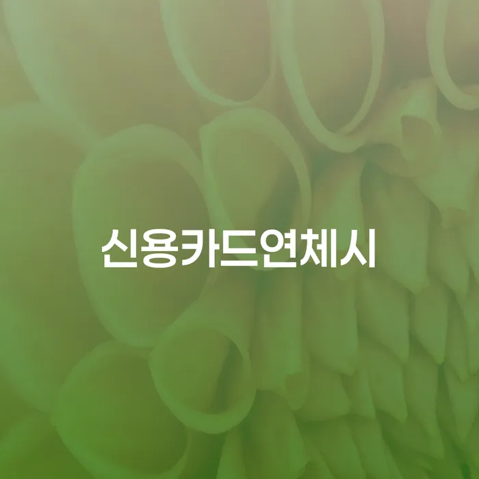 대부업연체 개인회생 문제해결방법 높아진