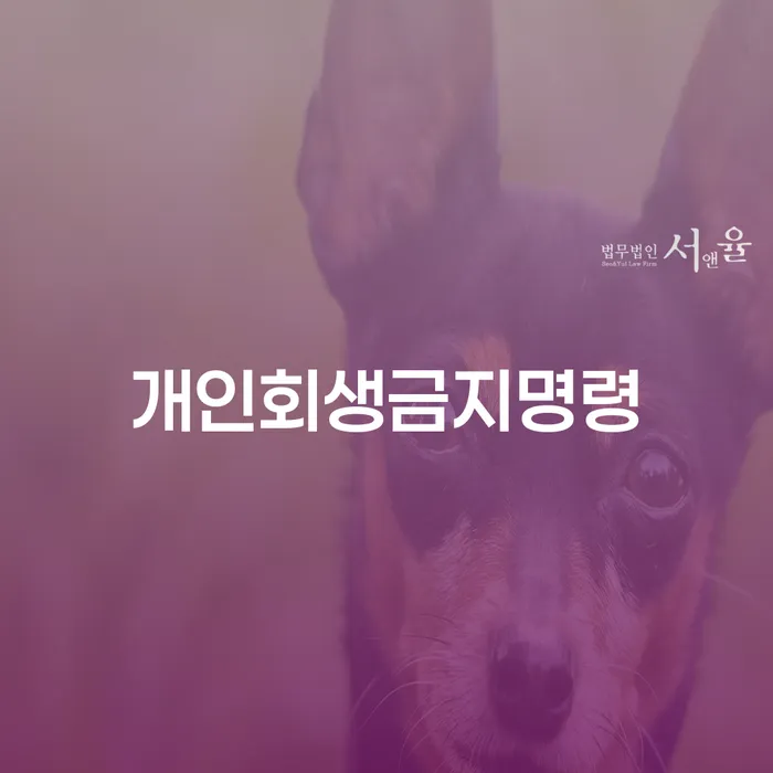 개인회생 변호사 비용 분납 가능하고 개인회생,개인파산으로 잘 하는 변호사