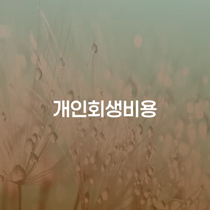 채무정리 개인회생으로 해결방법 할려는데