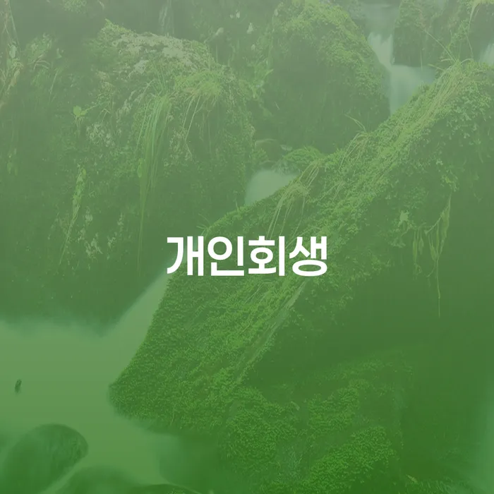개인회생금지명령 개인회생 제도 관한건