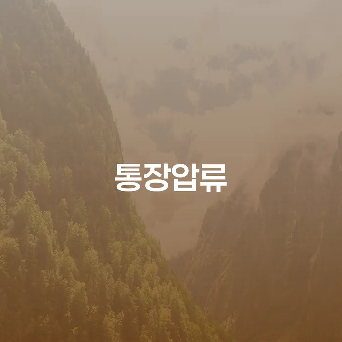 노원구 개인회생신청 빚 해결할 있는지확인