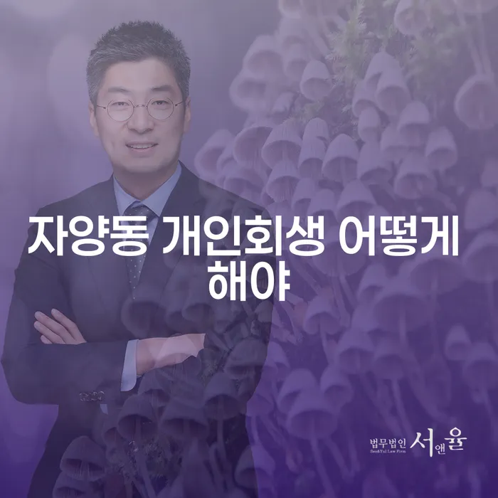 자양동 개인회생 어떻게 해야