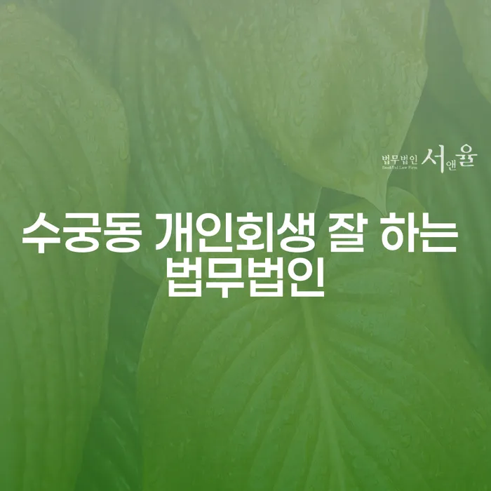 수궁동 개인회생 잘 하는 법무법인