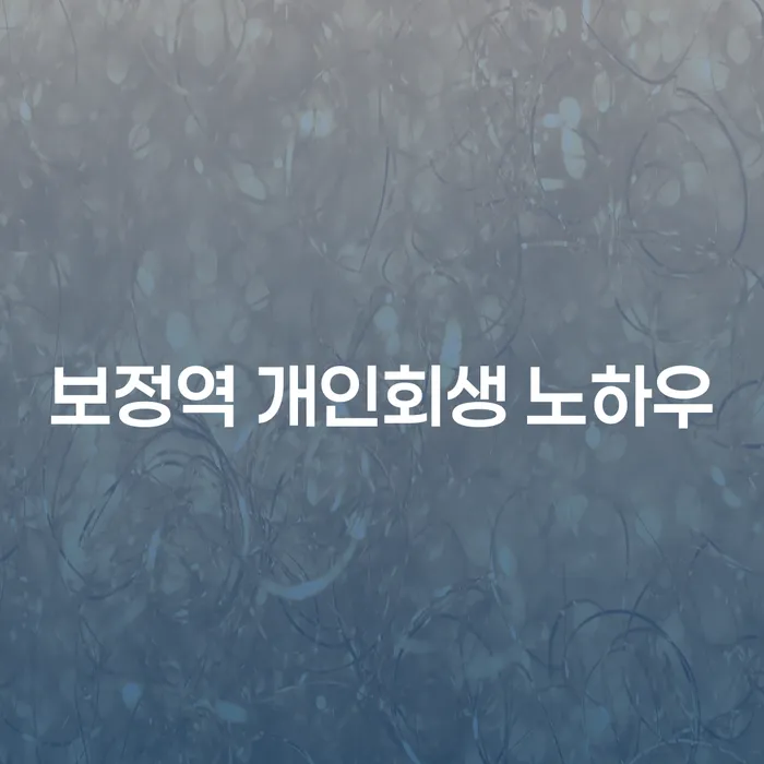 보정역 개인회생 노하우