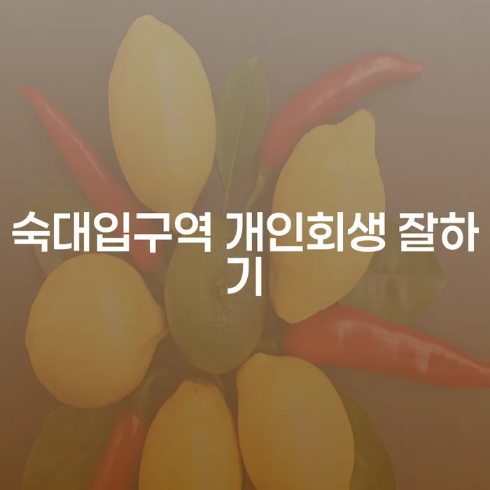 숙대입구역 개인회생 잘하기