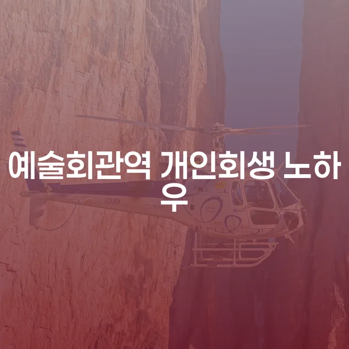 예술회관역 개인회생 노하우